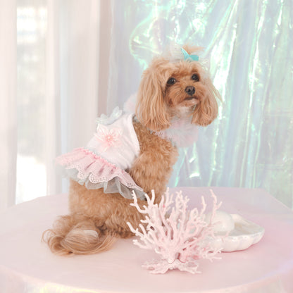 Coral Pet Dress