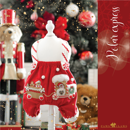 Polar Express (Romper)