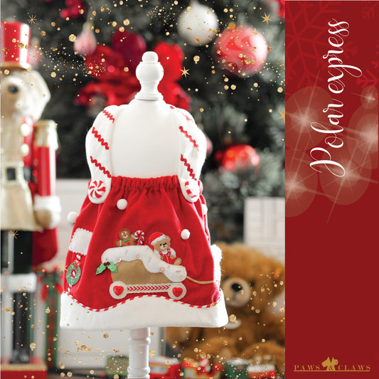 Polar Express (Dress)