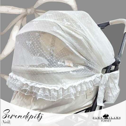 Serendipity (Veil)