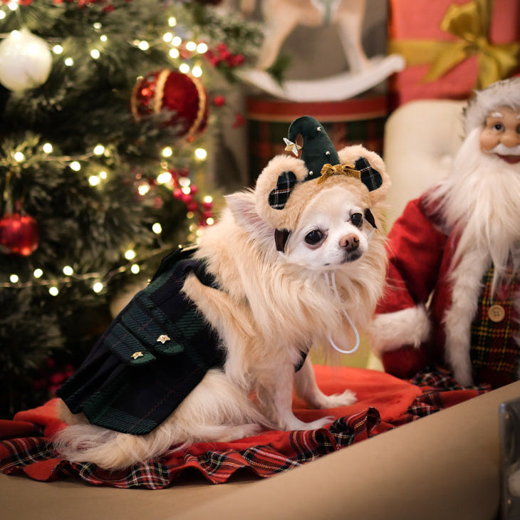 Teddy Elf (Headband)