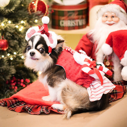 Sally Candy Cane (Harness - Girl)