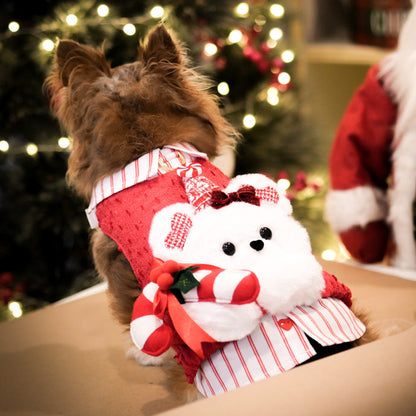 Sally Candy Cane (Harness - Boy)